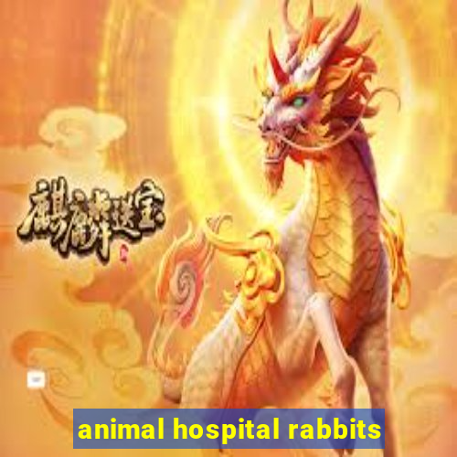 animal hospital rabbits